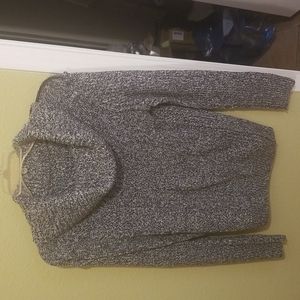 Loose turtle next weather